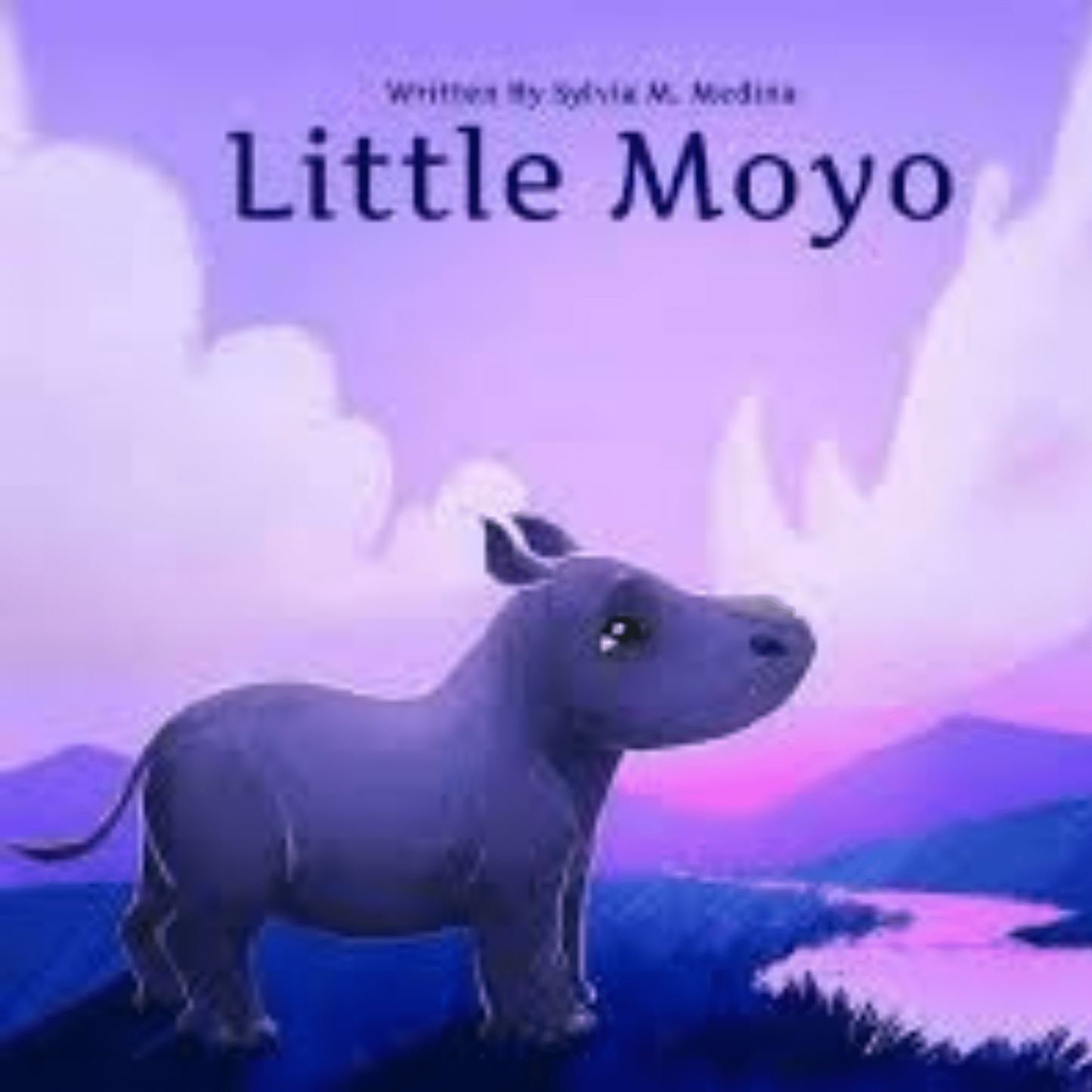 Little Moyo Baby Rhino Story Book - COLO
