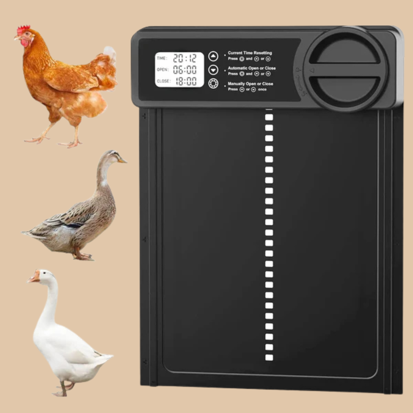 Automatic Chicken Coop Door with Timer