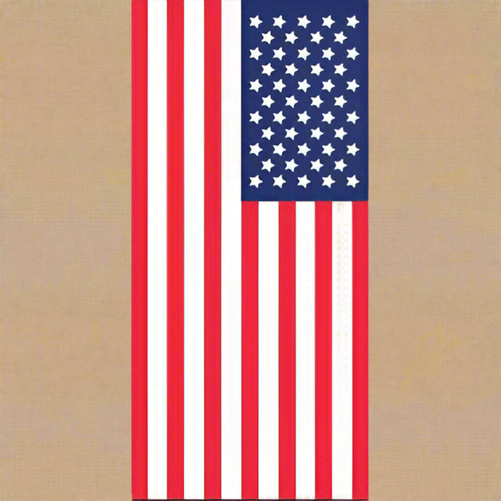 USA Flag Towel - COLO