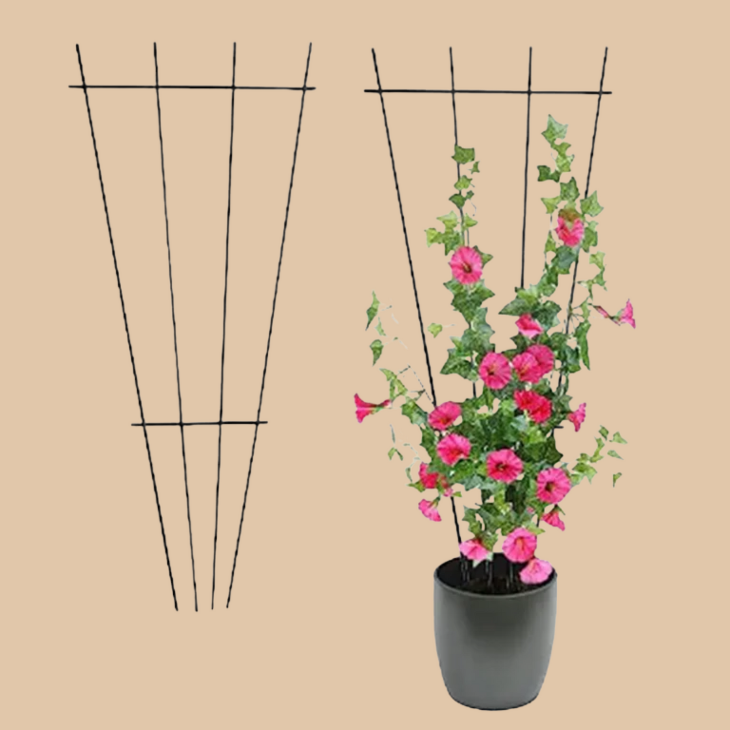 Green Iron Plant Trellis Set 2PCS - COLO