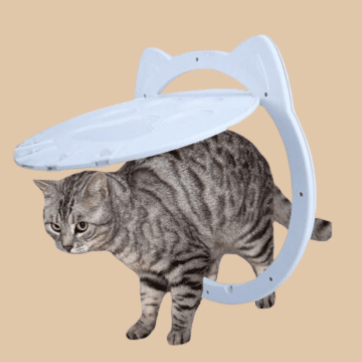 Silent Cat Flap Door for Window & Wall - COLO