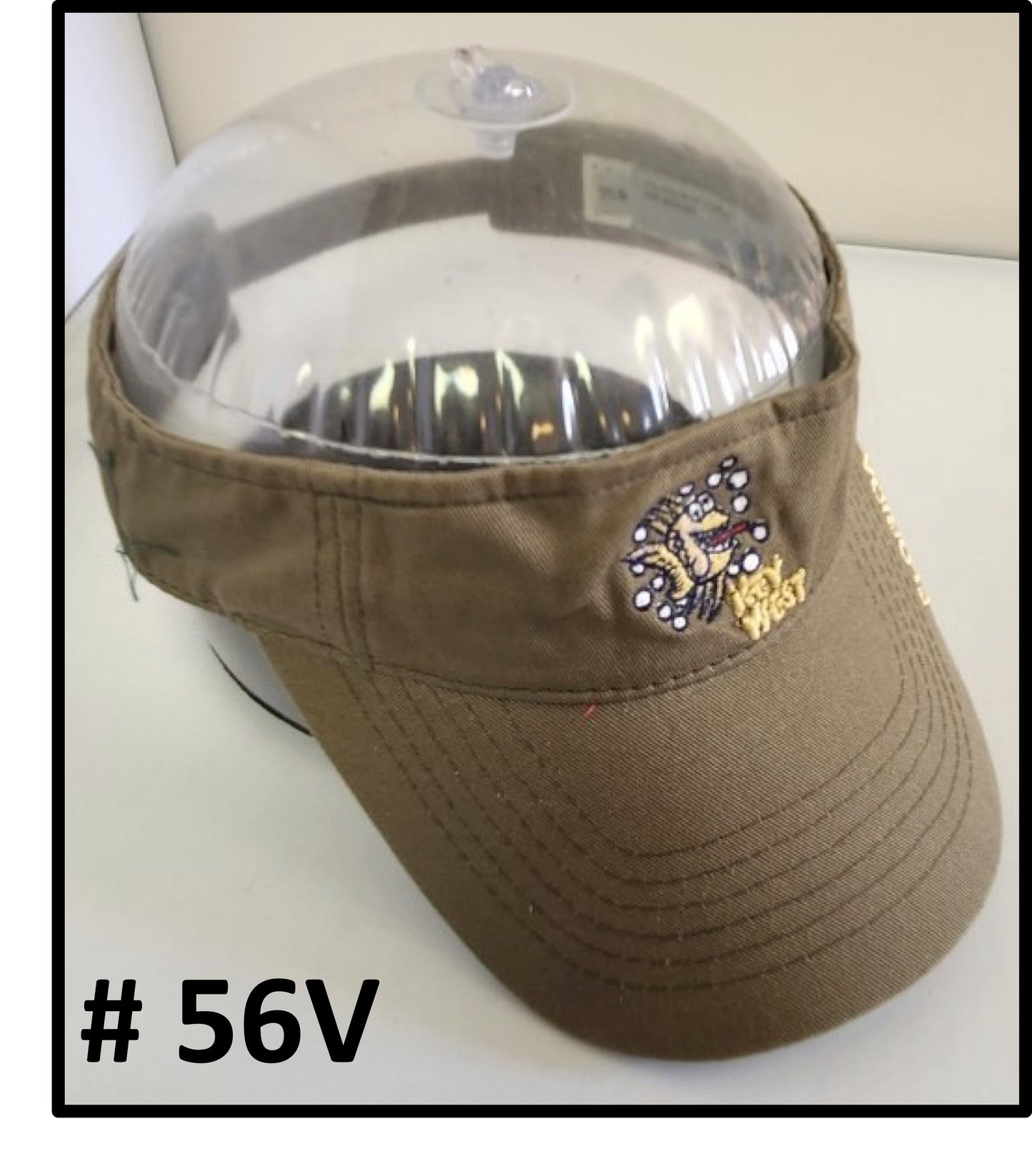 Island Accessories Visors