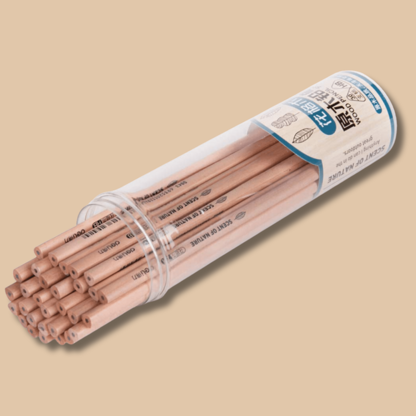 HB Sketch & Painting Pencils 50PCS Bucket - COLO