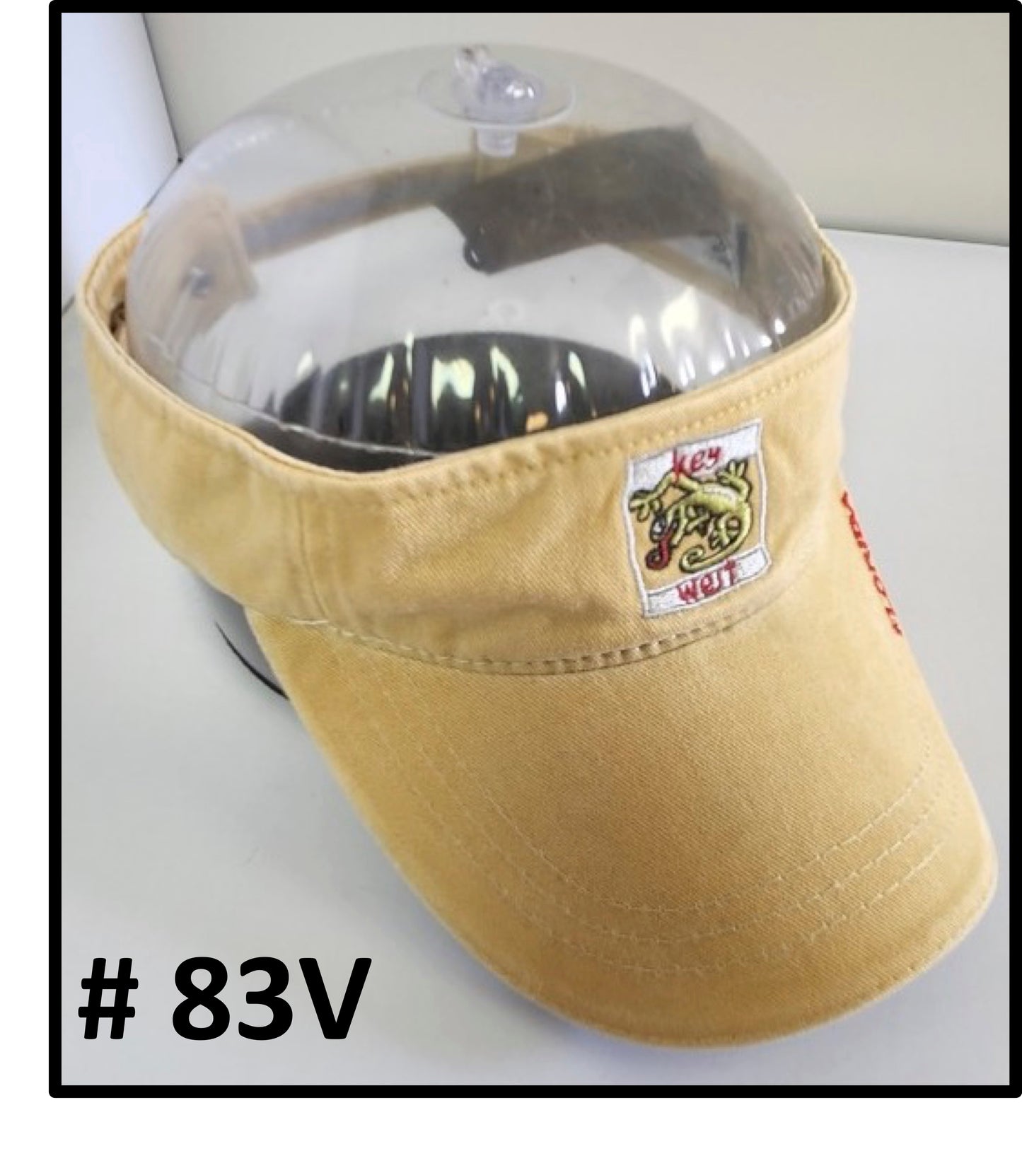 Island Accessories Visors