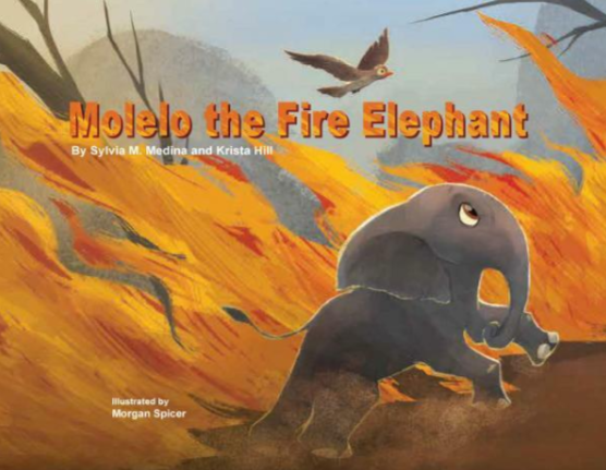 Green Kids Club Molelo the Fire Elephant - COLO