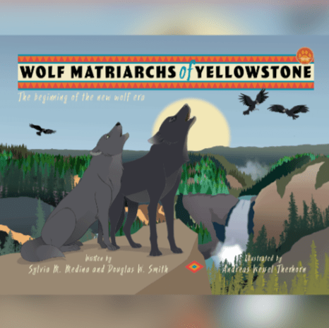 Green Kids Club
Wolf Matriarchs of Yellowstone - COLO