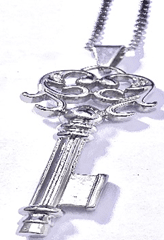 Fashion Key Pendant with 26" Chain in Box - COLO