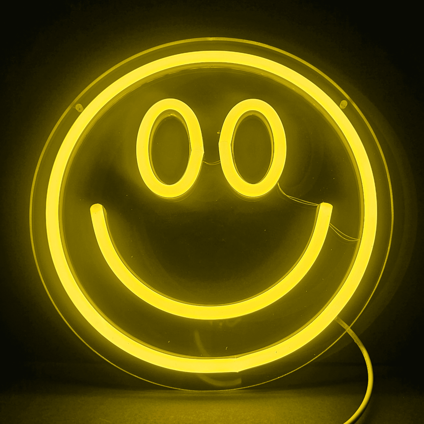 Smiley Face LED Neon Acrylic Decorative Light Night Light - COLO