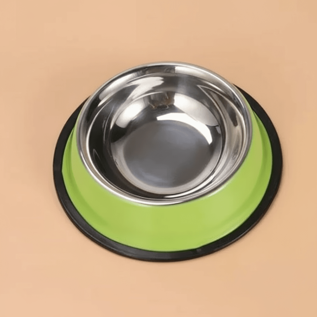 Stainless Steel & Green Non-Slip Dog Food Bowl – “My Dear” Design - COLO