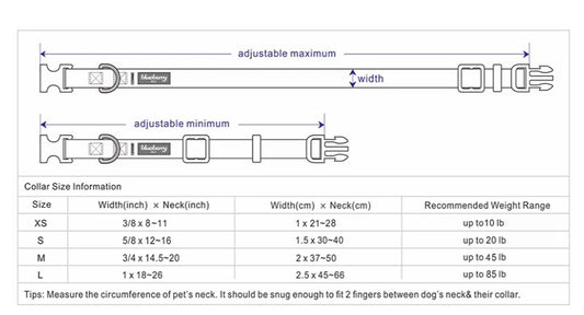 Blueberry Pet Floral Rose Print Turquoise Dog Collar – Large