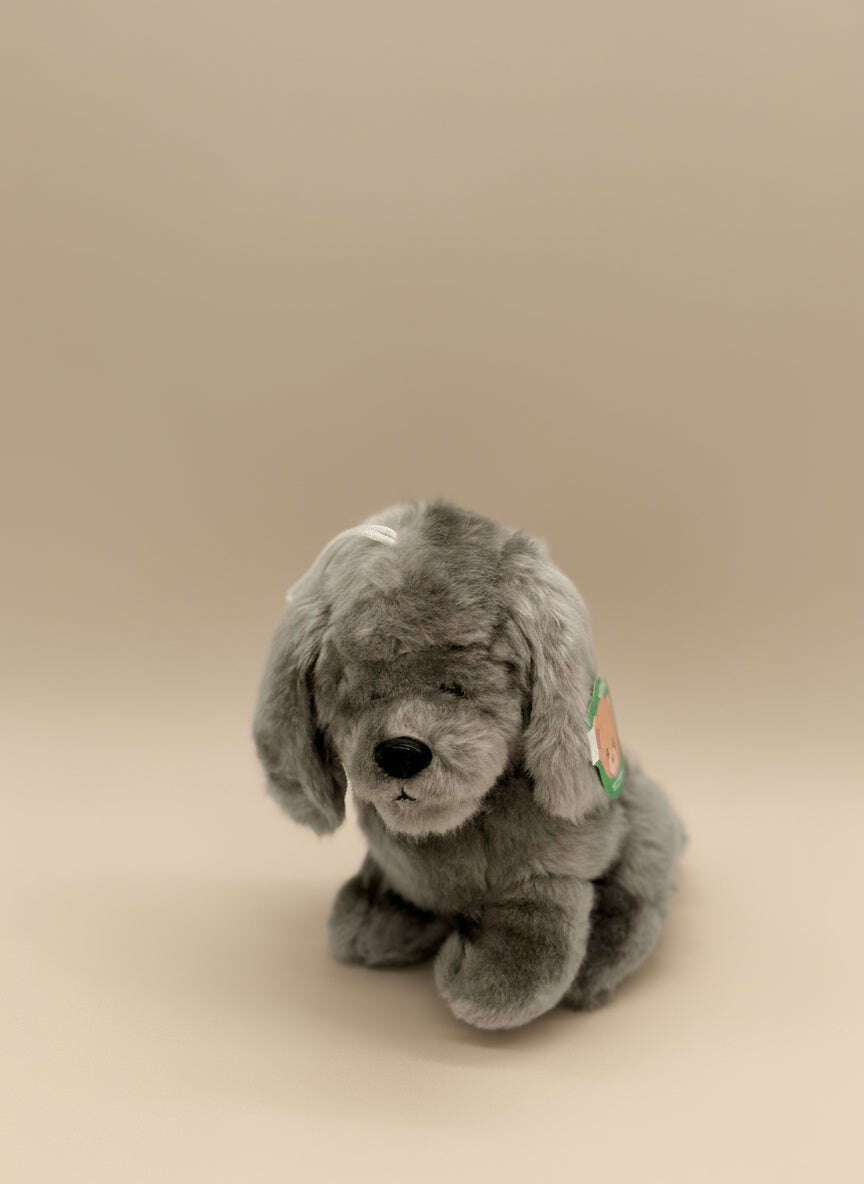 Gray Poodle Small Plush Toy – Soft Cute Puppy Stuffed Animal - COLO
