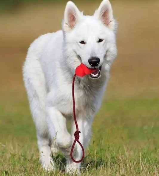 Durable Pear-Shaped Dog Toy with Rope Handle – Interactive Fetch & Tug Toy