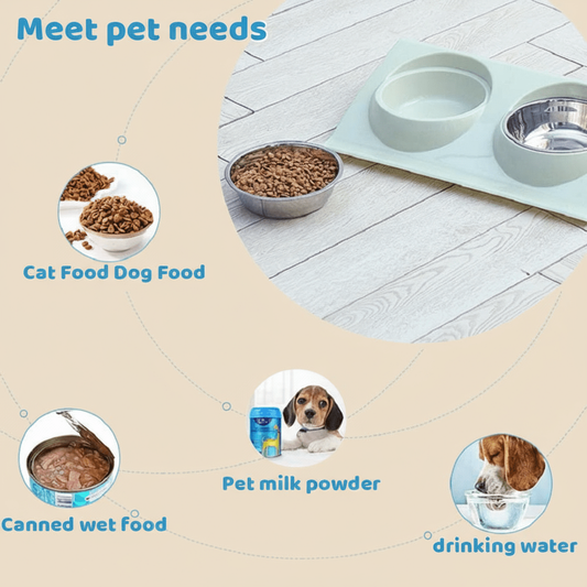 Double Pet Bowl Tray – Non-Slip Feeding Mat for Small Dogs & Cats (Green, Blue, Pink) - COLO