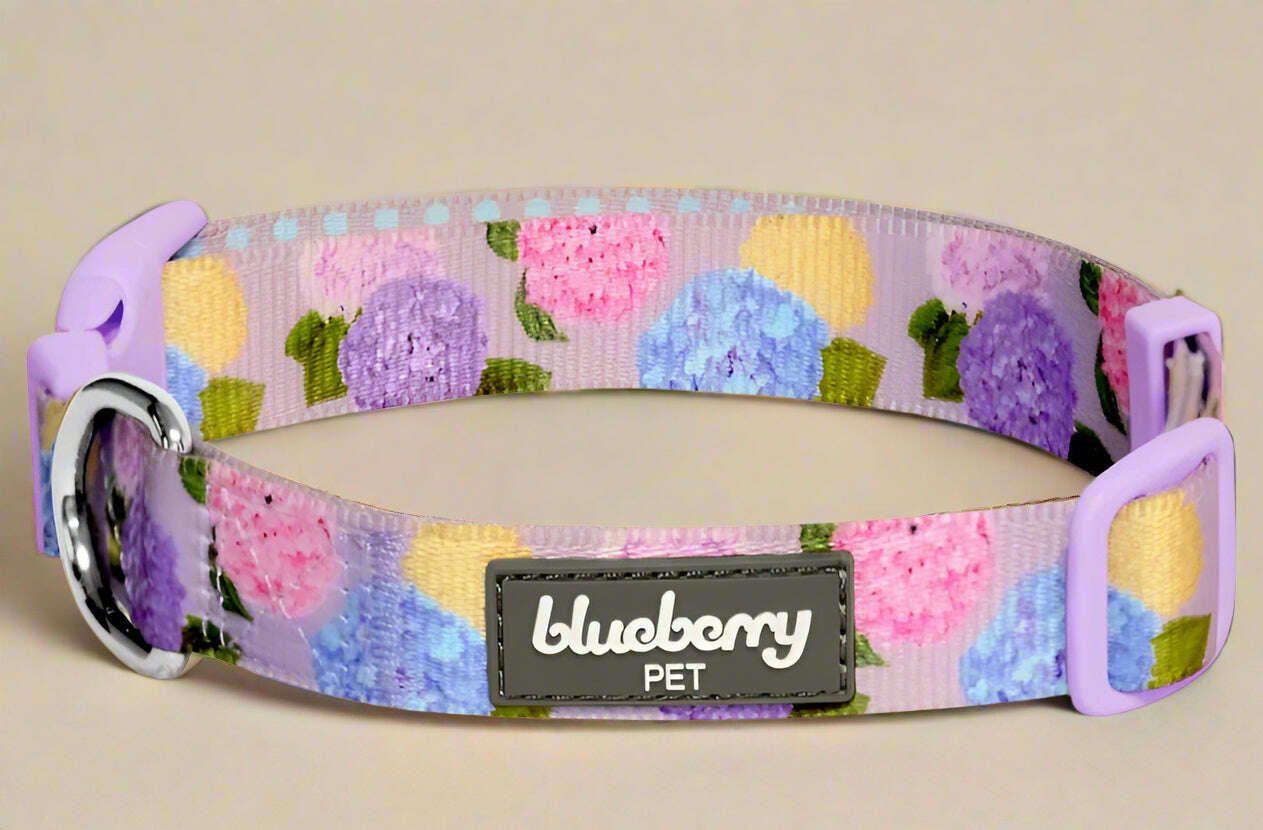 Blueberry Pet Rose Flower Print Padded Dog Collar – Large - COLO