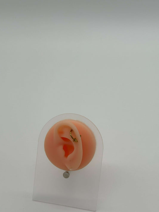 Gold Chrome Horseshoe Piercing – Medium (Cone Ends) - COLO