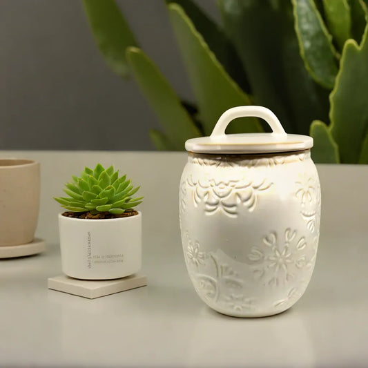 Cookie Jar Ceramic Modern Styles