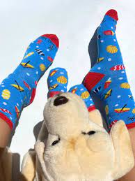 Blue Beach Matching Pet & Owner Socks – Non-Slip Gripper Socks Set