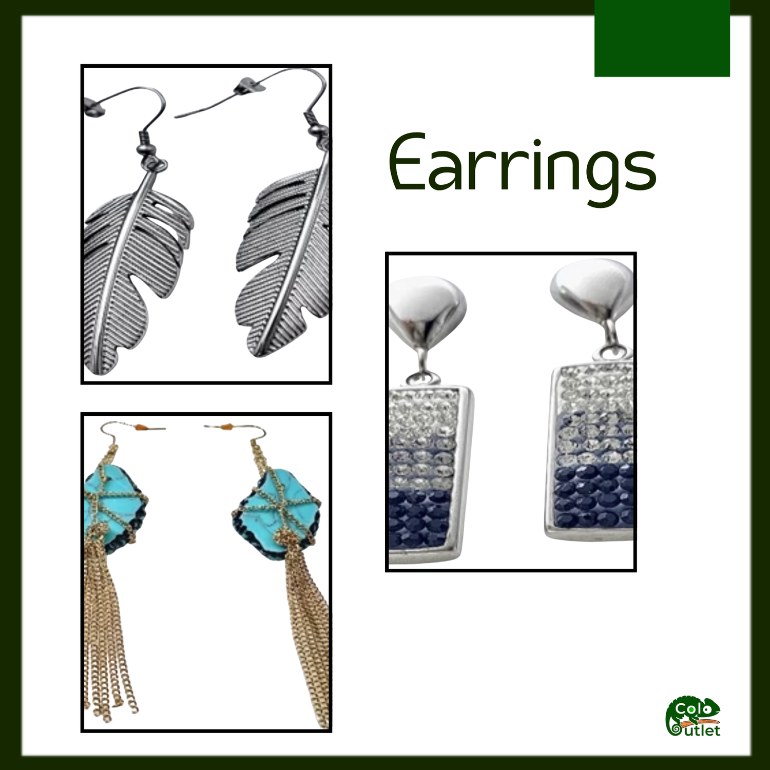 Earrings