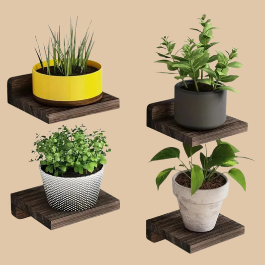 Floating Wall Shelves Wood Display Ledges 4PCS