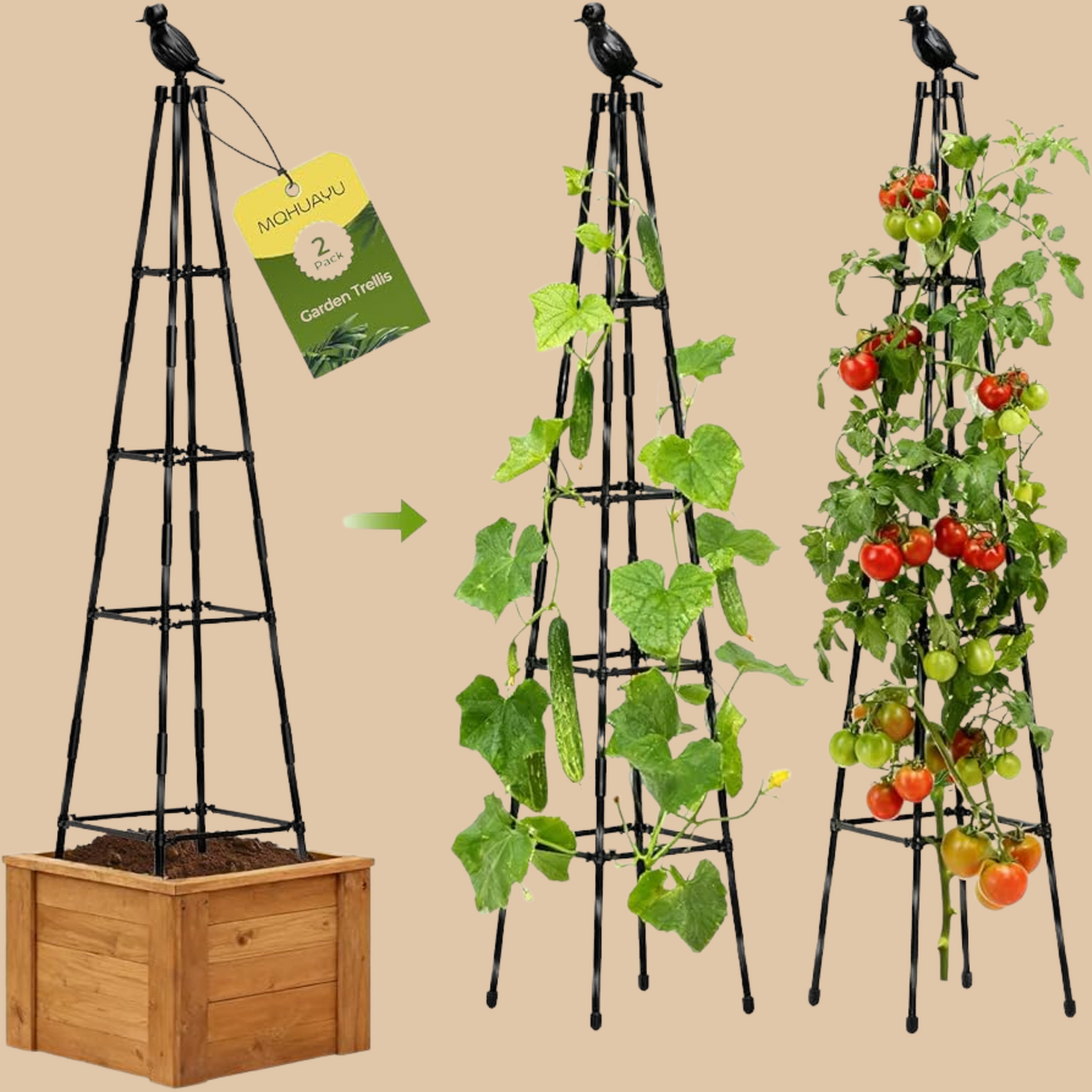 Adjustable Garden Obelisk Trellis 65" - COLO