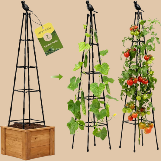 Adjustable Garden Obelisk Trellis 65" - COLO