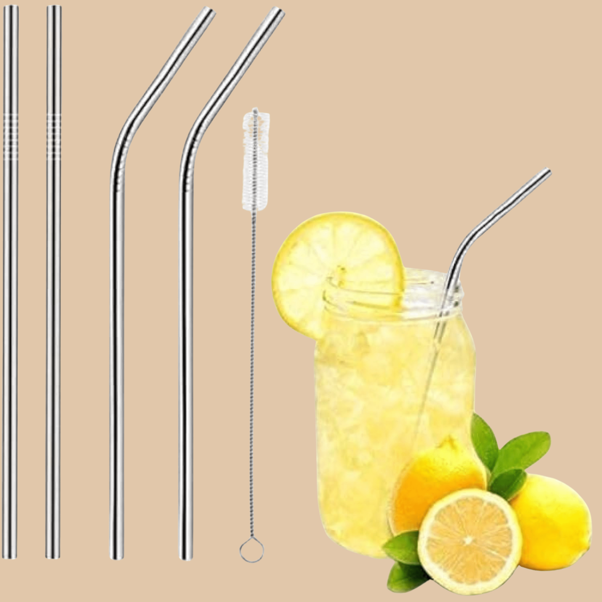 Reusable Stainless Steel Drinking Straws Set of 5 - COLO