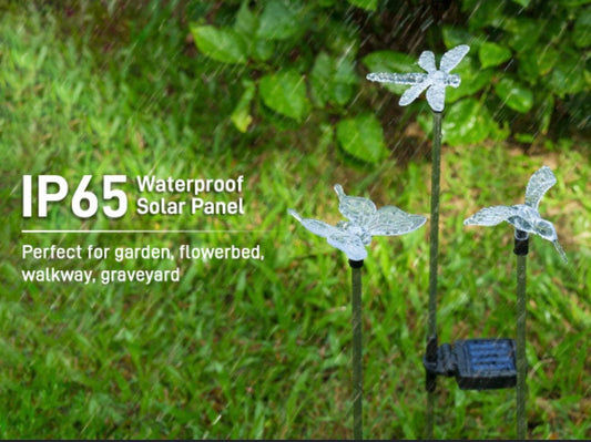 Multi-Color Changing Outdoor Solar Bird Stake Lights | Whimsical 3-Pack Set