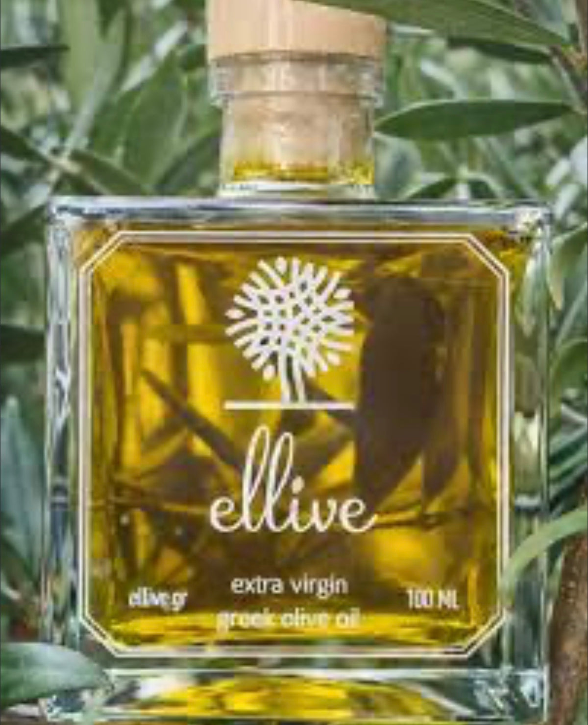 Ellive Premium Extra Virgin Olive Oil from Ancient Olympia, Greece