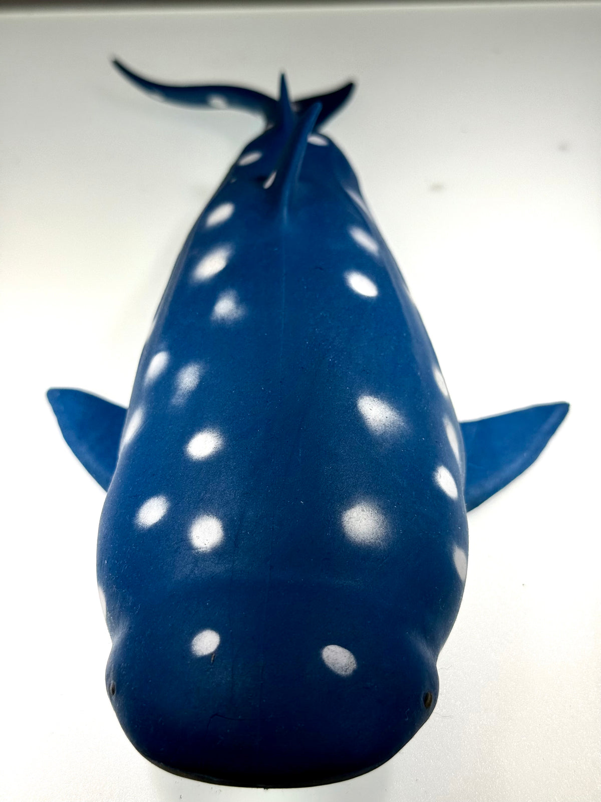 Blue Shark Stress Relief & Fidget Toys SPLASH PIGGY AND FRIENDS