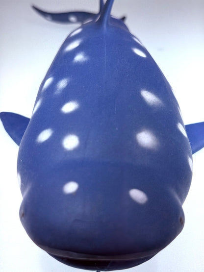 Gray Shark Stress Relief & Fidget Toys SPLASH PIGGY AND FRIENDS