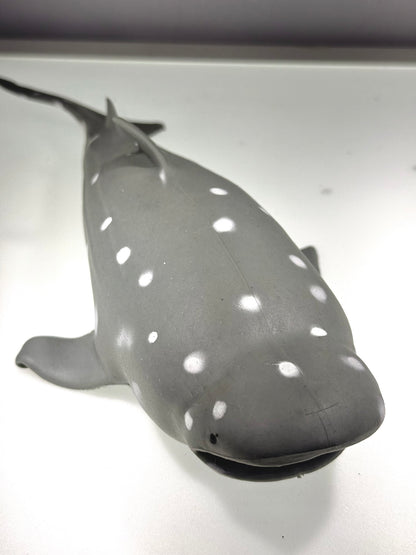 Gray Shark Stress Relief & Fidget Toys SPLASH PIGGY AND FRIENDS