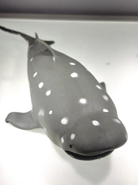 Gray Shark Stress Relief & Fidget Toys SPLASH PIGGY AND FRIENDS