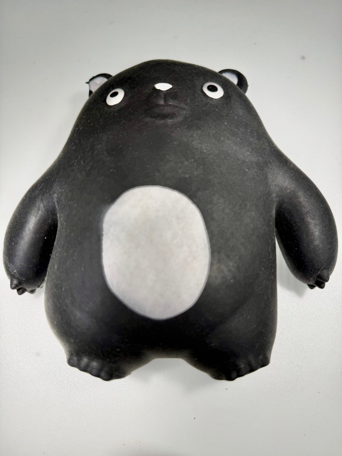 Black Bear Stress Relief & Fidget Toys SPLASH PIGGY AND FRIENDS