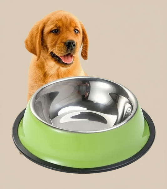 Stainless Steel & Green Non-Slip Dog Food Bowl – “My Dear” Design