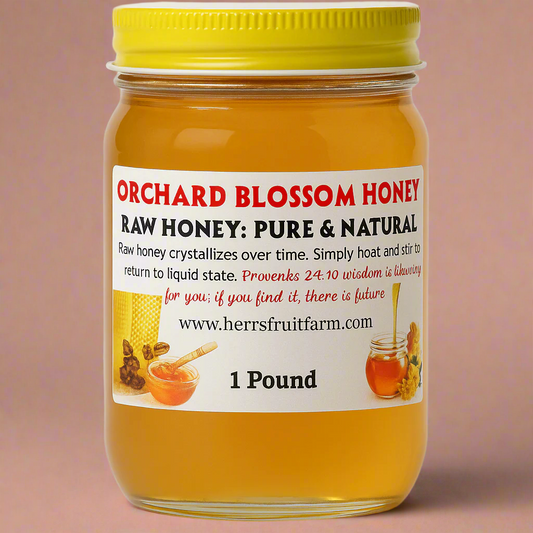 Orchard Blossom Honey - Raw & Pure from Amish Country