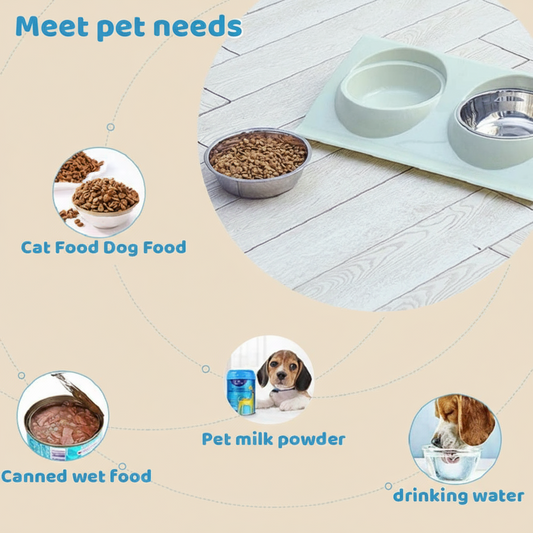 Double Pet Bowl Tray – Non-Slip Feeding Mat for Small Dogs & Cats (Green, Blue, Pink)
