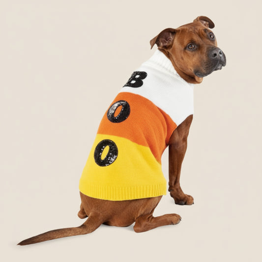 Boots & Barkley Candy Corn “Boo” Halloween Sweater for Dogs and Cats – XL